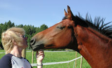 Birgitta